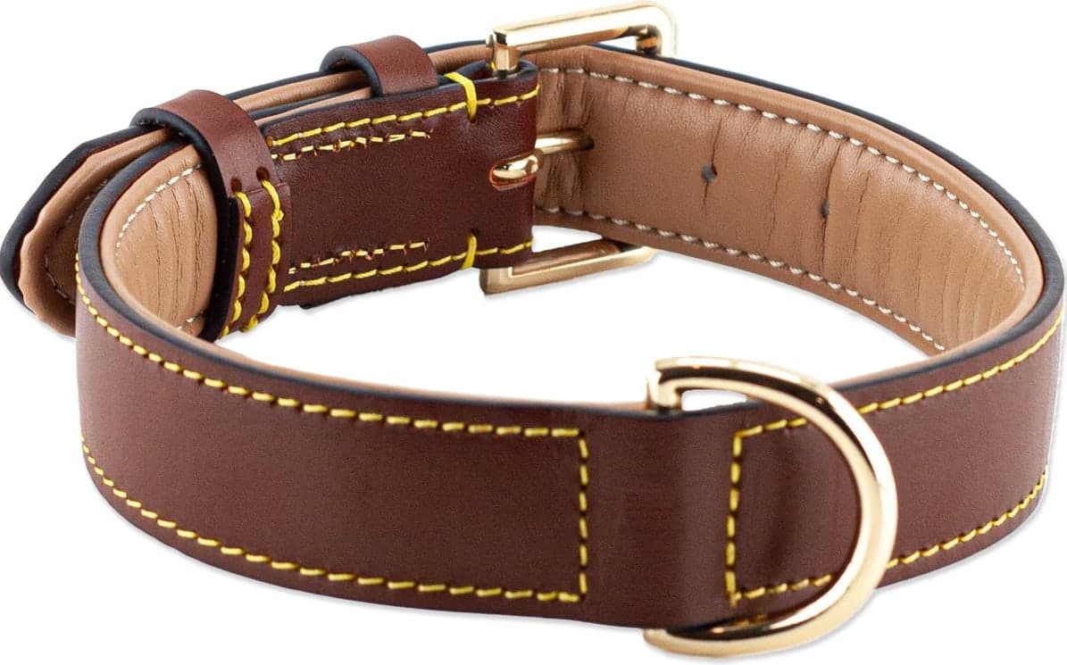 Halsband hond — leer