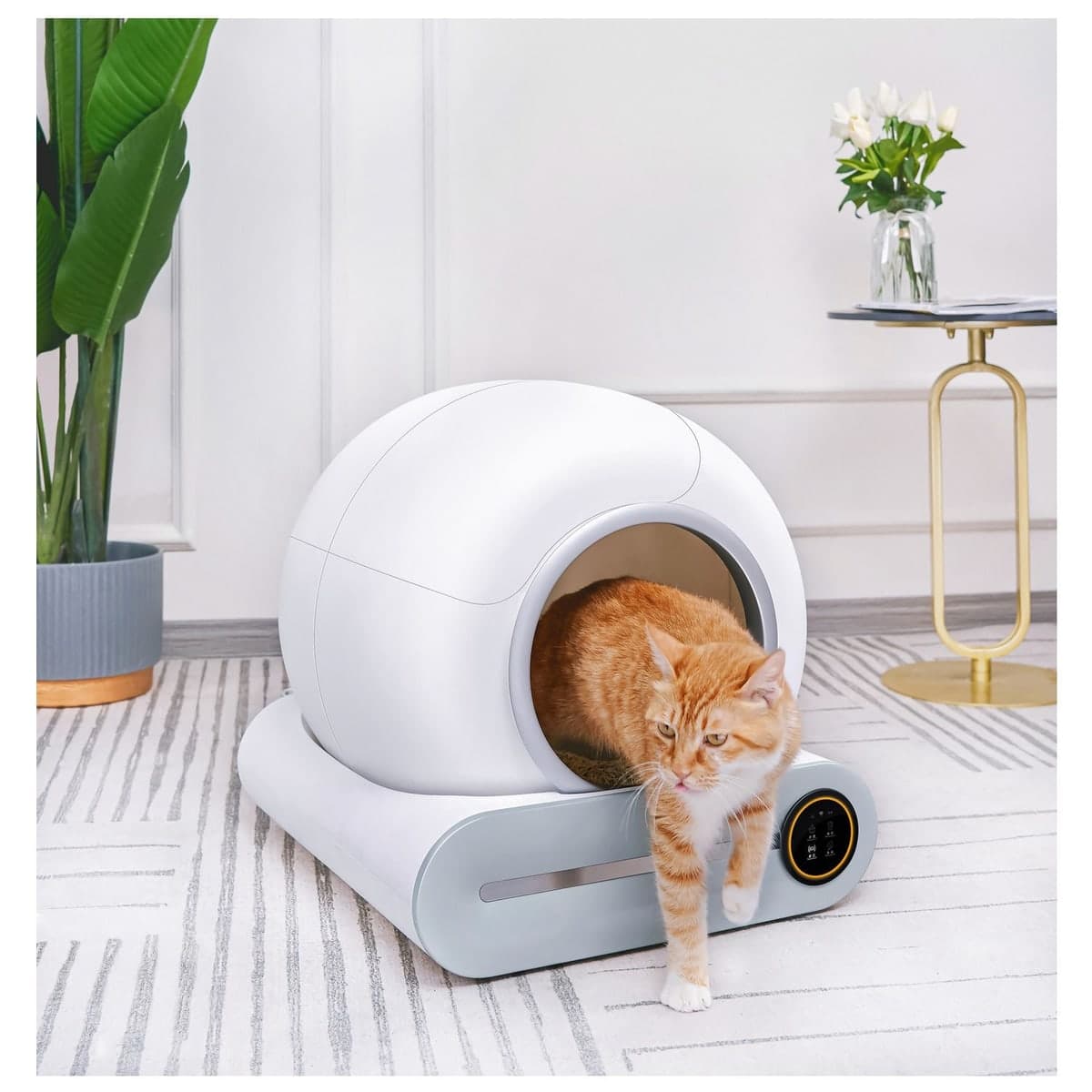 Petlux zelfreinigende kattenbak